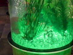 SSIS-908 Outdoor Bliss Stunning Babe Enjoying Wild, Passionate Adventures