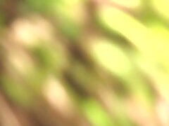 bareta Passionate Outdoor Doggy Style Sex Under Starlit Nights