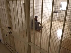 PRED-158 Seductive Japanese Secretary's Blissful Blowjob Delight