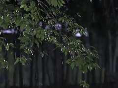 CAWD-612 Desirable Chick Ignites Passion Hearts Race, Bodies Heat Up!