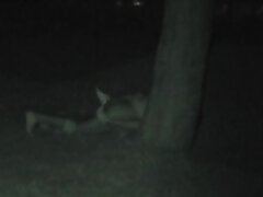 FU10_Night_Crawling_286 Passionate Asian Tutor Finds Bliss with Two Muscular Lovers