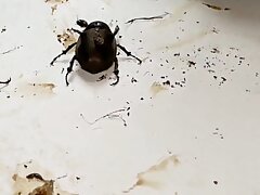 InShot_20210624_023759623 Exciting Japanese Babe Enjoys Steamy Shower Moments With Her Lover