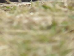 220501g High-Rising Asian Ass Takes Massive Cock Deep In Pussy Heaven