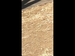 niko13 Sexy Japanese Babe Shows Her Curvy Assets While Giving Epic Blowjob